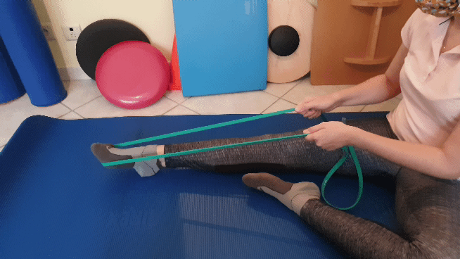 Triceps sural – élastique